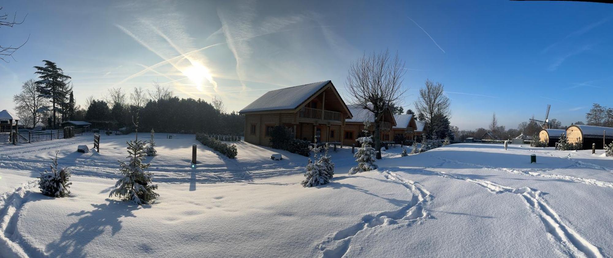 Vakantiepark Boomstamhuis High Chaparral Oorsbeek